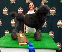 JAY00912
